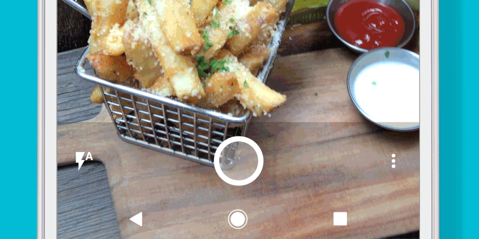 lg-connect-fries.gif