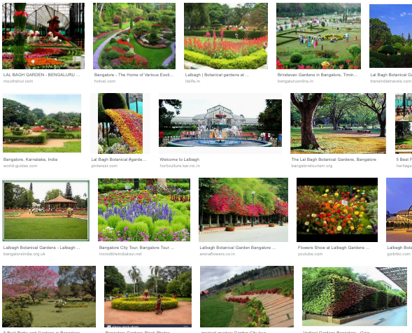 Local Guides Connect Bengaluru Traffic Pubs And Gardens