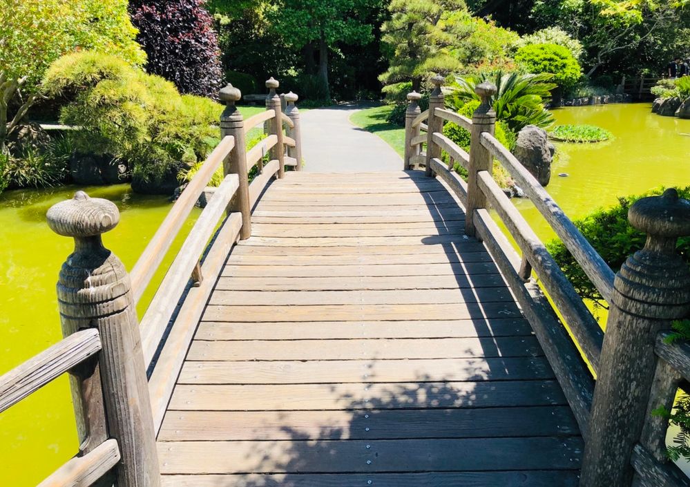 Local Guides Connect Japanese Garden San Mateo Central Park