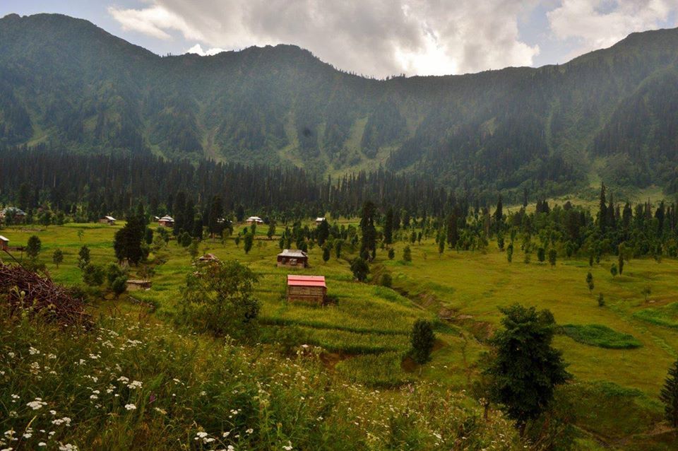  Arang Kel, Neelum Valley - Azad Kashmir - Photo by Amjid Ali